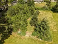 View 56