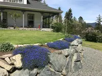 View 13