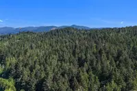 View 12