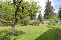 View 33