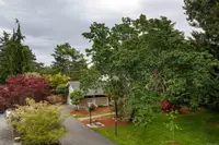 View 41