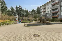 View 32