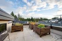 View 53