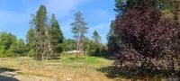 View 42