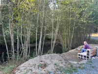 View 37