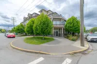 View 50
