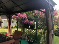 View 38