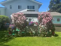 View 40