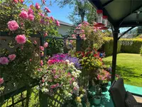 View 39