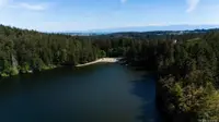 View 44