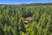 View 51