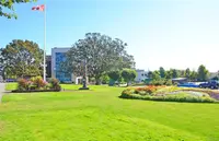 View 31