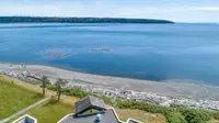 View 40