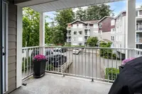 View 14