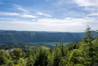 View 46