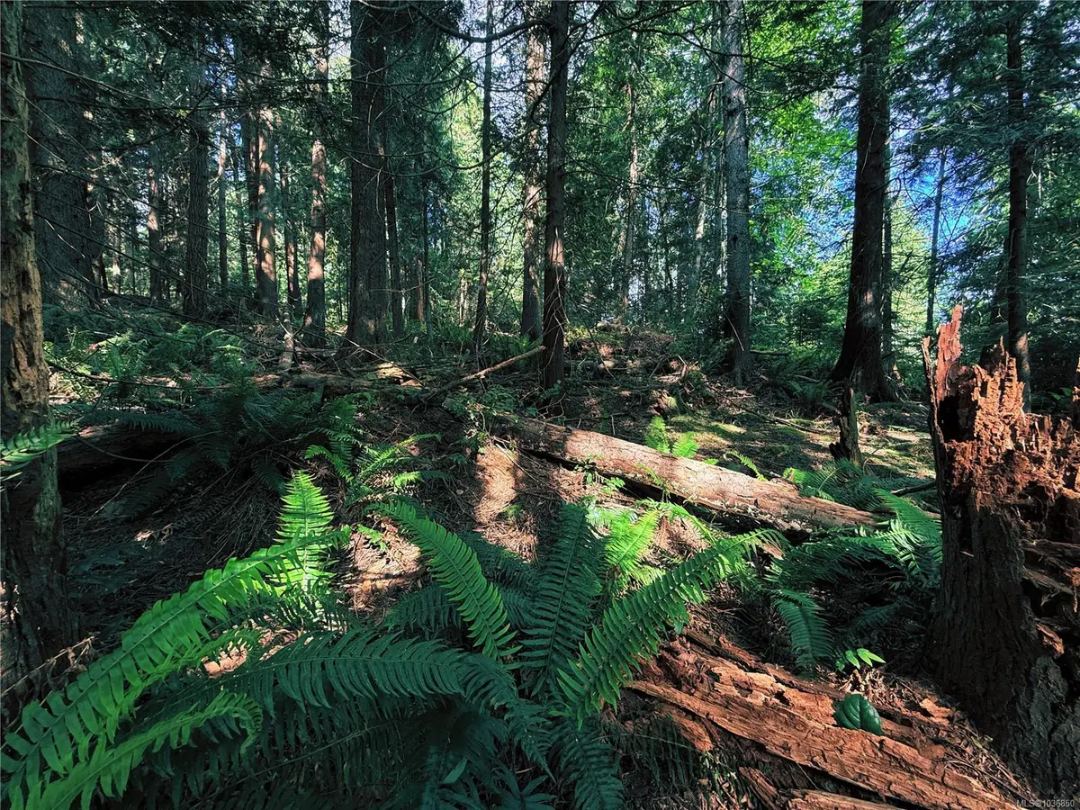 Lot 6 Spruce Ave, Gabriola Island BC V0R 1X1