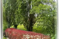 View 50