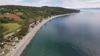 View 14
