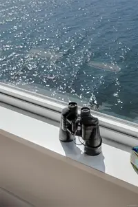 View 19