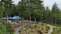 View 45