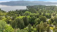 View 55