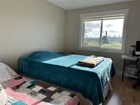 View 19