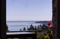 View 23