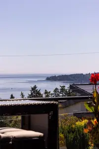 View 24