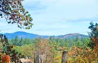 View 27