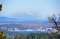 View 28