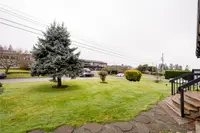 View 39