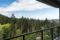 View 60