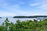 View 54