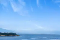 View 12
