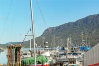 View 36