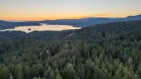 View 13