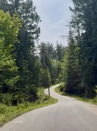 View 16