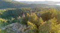 View 3