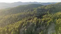 View 10
