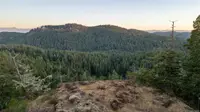 View 4