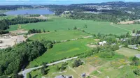 View 86