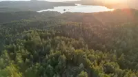 View 13