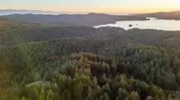 View 16
