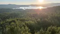 View 14