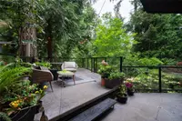 View 62
