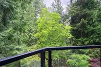 View 65