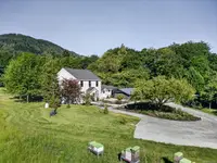 View 53