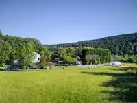 View 40