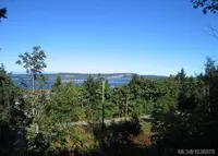 View 4