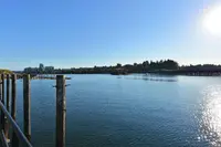View 30